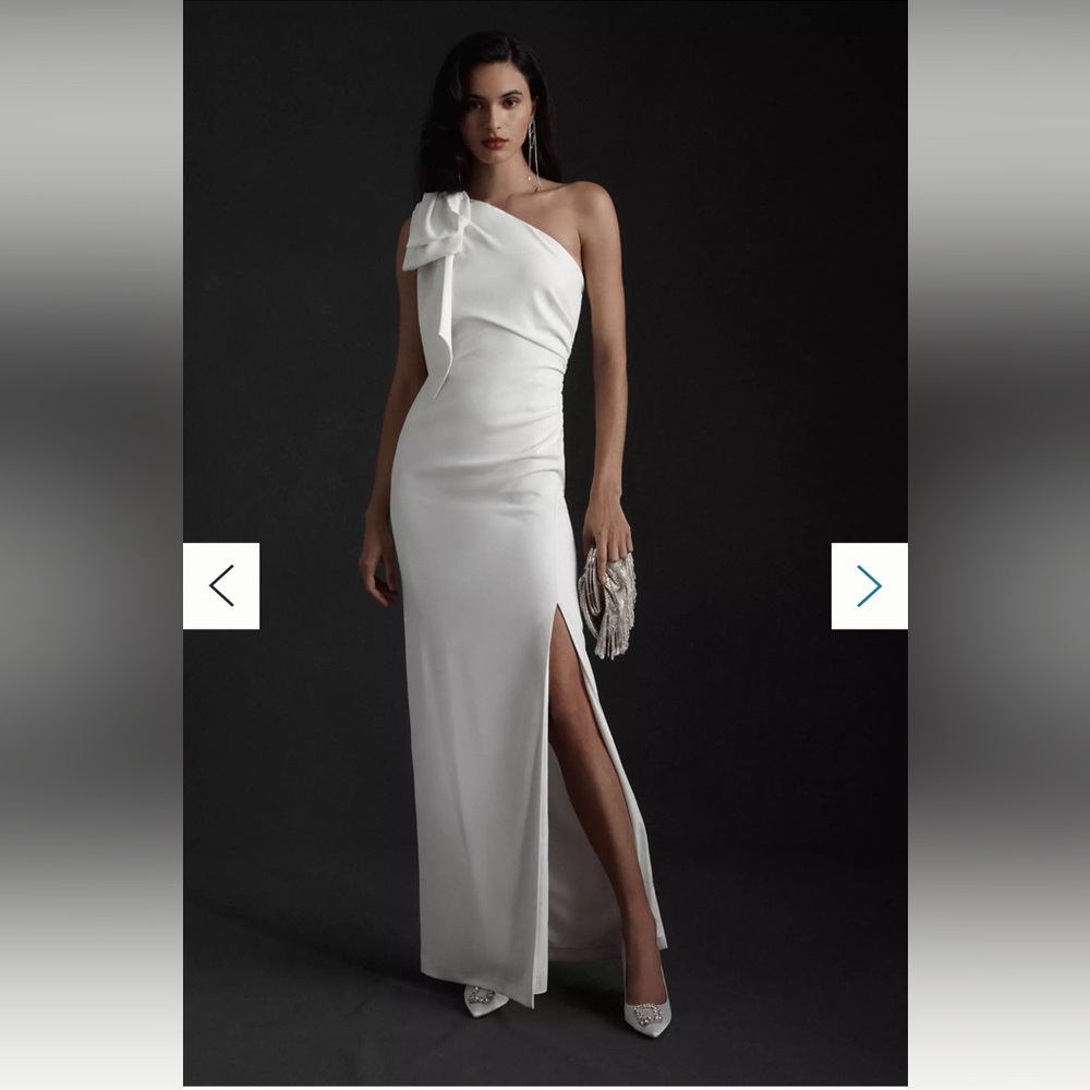 ML Monique Lhuillier x BHLDN Lionel Dress